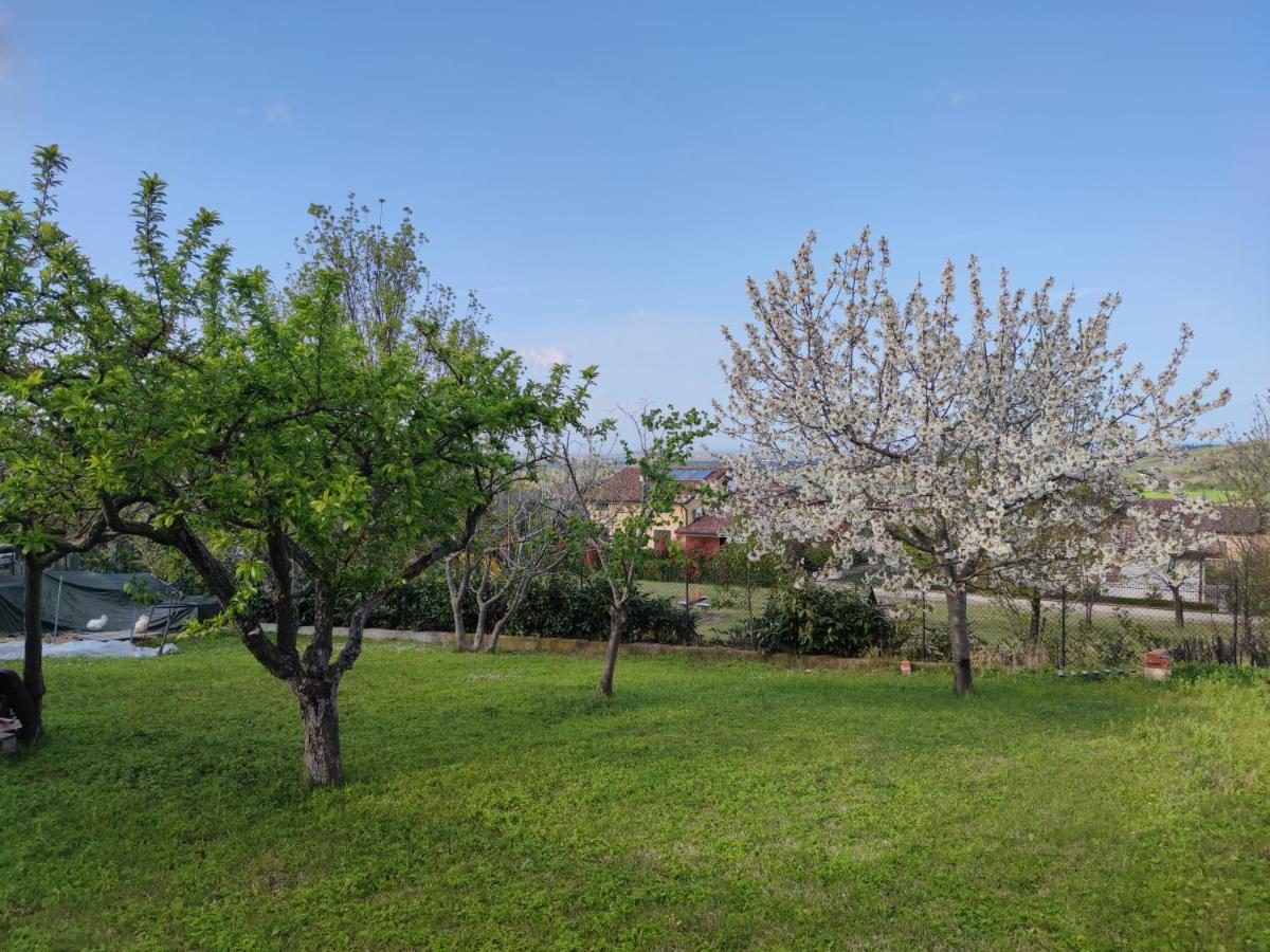Relax In Collina A Due Passi Dal Mare Apartment Torriana Exterior foto